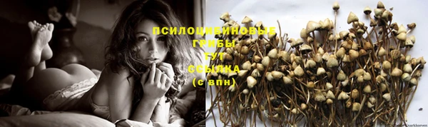 прущая мука Навашино