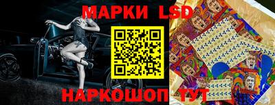 стафф Заводоуковск