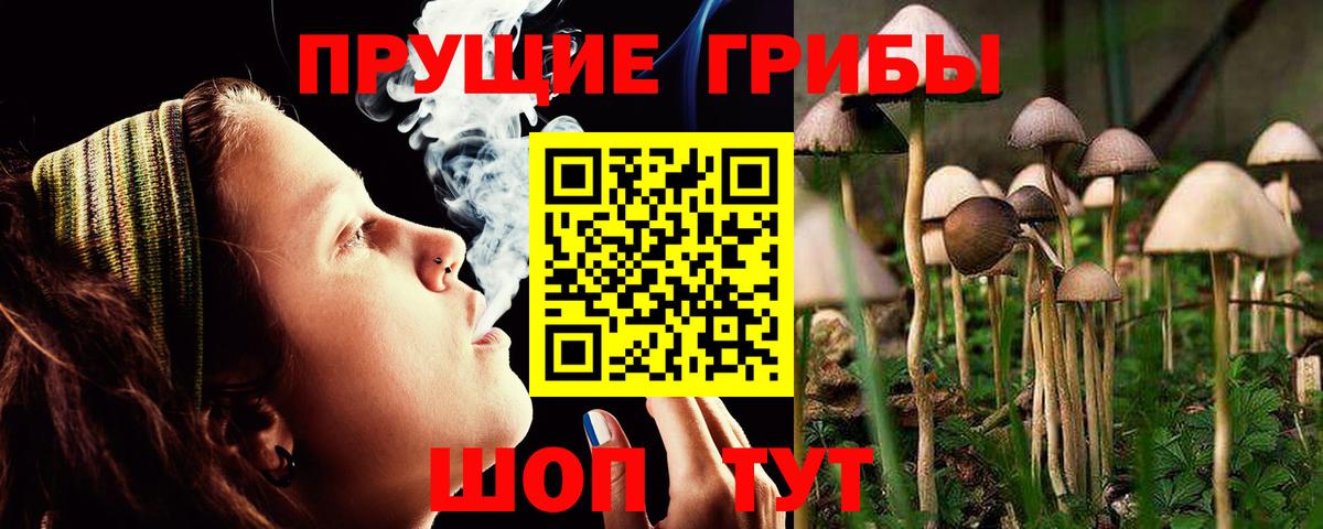 Галлюциногенные грибы мухоморы  Вход с VPN  Петровск 