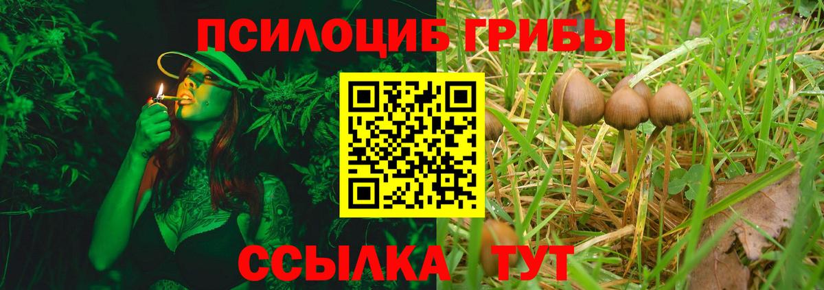 Галлюциногенные грибы Cubensis Петровск