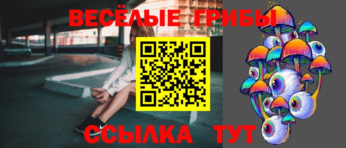 Псилоцибиновые грибы мицелий Петровск
