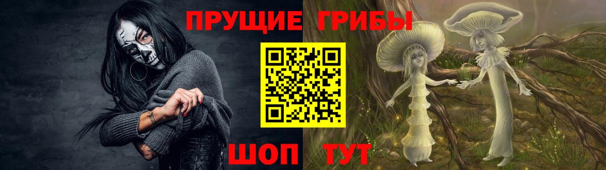 Псилоцибиновые грибы Psilocybe  Галлюциногенные грибы Psilocybine cubensis  Петровск 