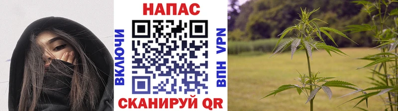 Каннабис THC 21%  Петровск 